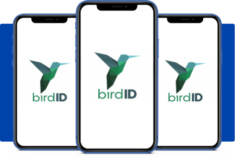 Bird ID: A Identidade Digital em Nuvem para o Brasil